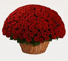 Премиум букет из: Розы #REPLACE_PRED# Григорьевское