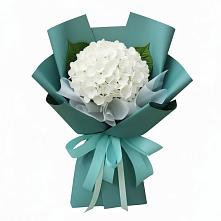 Букет цветов из:  Гортензия #REPLACE_PRED# Григорьевское